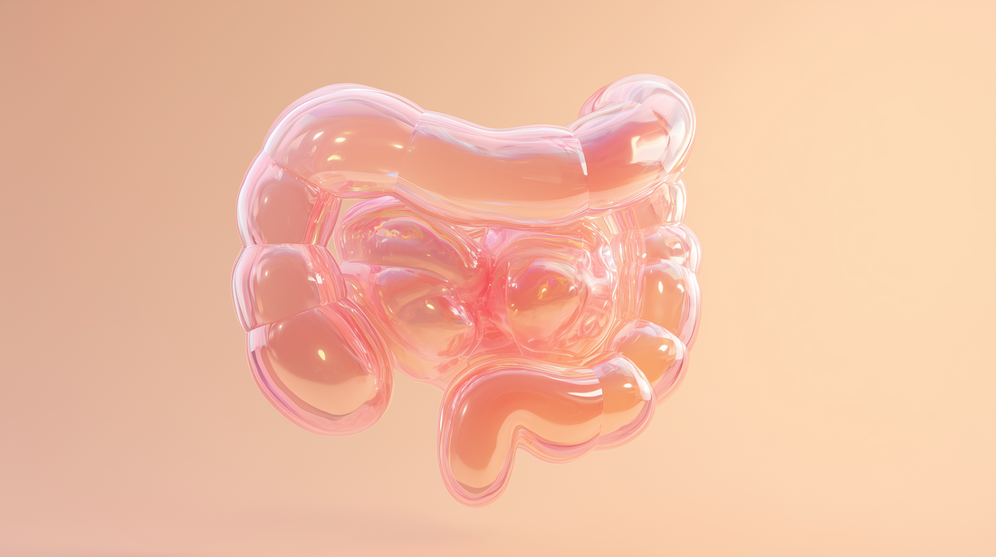 Gut Health