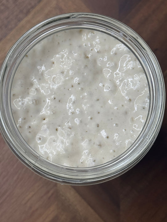 The Busy Bakehouse Sourdough Starter (2oz Ramekin)